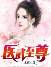 医武至尊宁天完结版