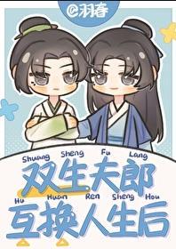 双生夫郎互换人生后剧情简介