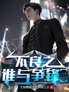 不良之谁与争锋番外篇