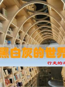 黑白灰永远是最经典的