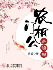 农门相公是锦鲤乐文