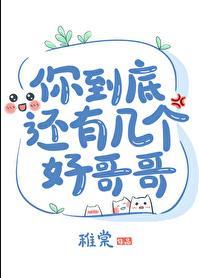 你到底还有几个好哥哥by稚棠